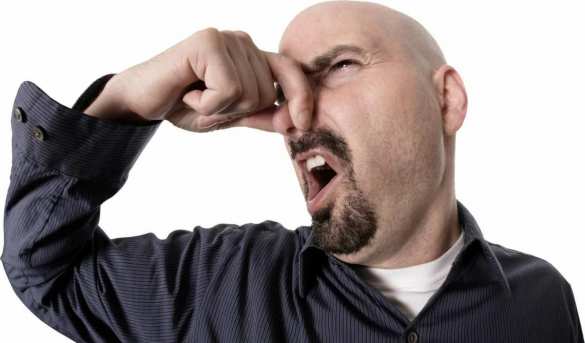 Штраф за вонь: в Румынии официально запретили дурные запахи | Русская весна