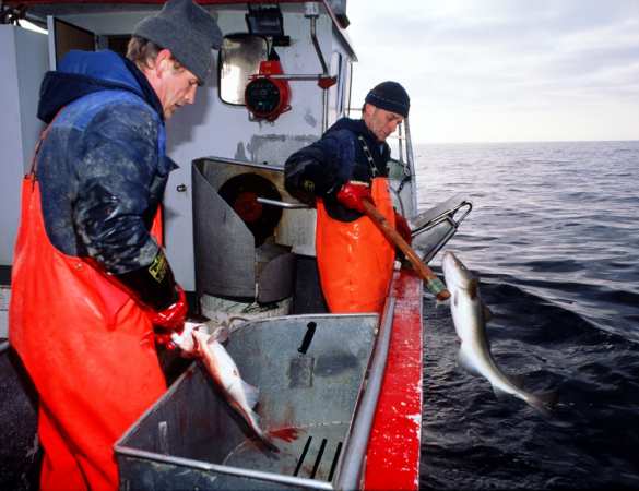 Отчаявшиеся норвежские рыбаки требуют отмены антироссийских санкций | Русская весна