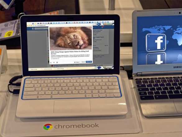 Учёные выяснили, как соцсети влияют на численность населения | Русская весна