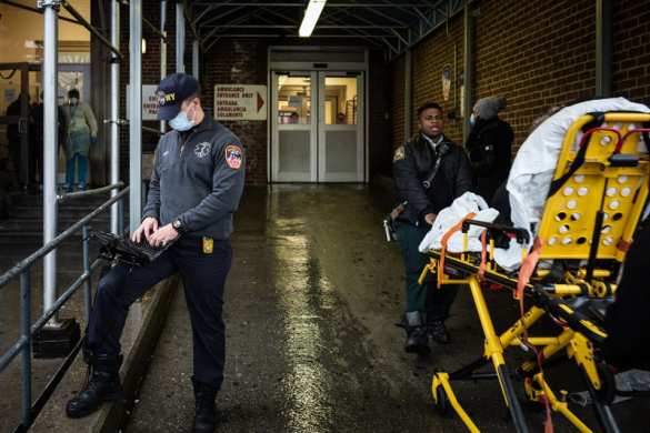 Пандемию может остановить «чудо», — биолог | Русская весна