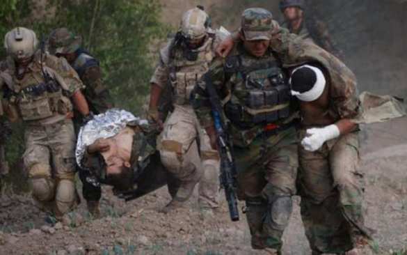 Очередной обмен пленными между ополченцами Донбасса и Киевом состоится сегодня | Русская весна