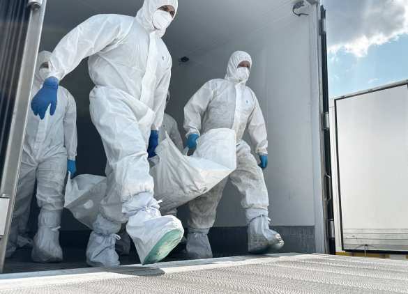 1000 на 24: Россия и Украина провели первый за месяц обмен телами погибших (ФОТО) | Русская весна