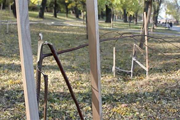 В Одессе уничтожили аллею «Небесной сотни»  | Русская весна