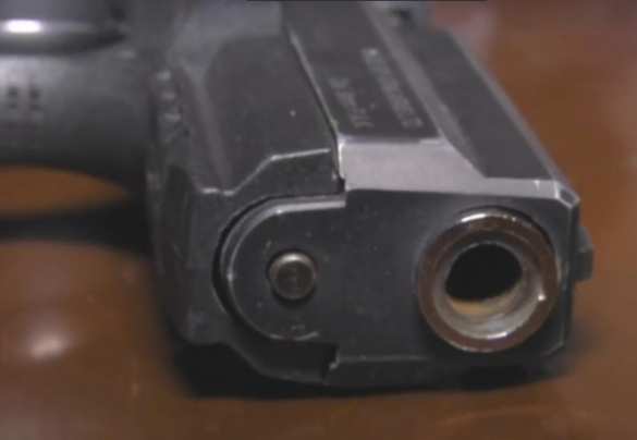 Дома у майдановца-убийцы найдены наркотики, оружие и взрывчатка (ФОТО, ВИДЕО) | Русская весна