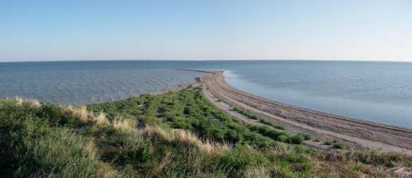 Жестоко избиты руководители заповедника в Одесской области (ФОТО) | Русская весна