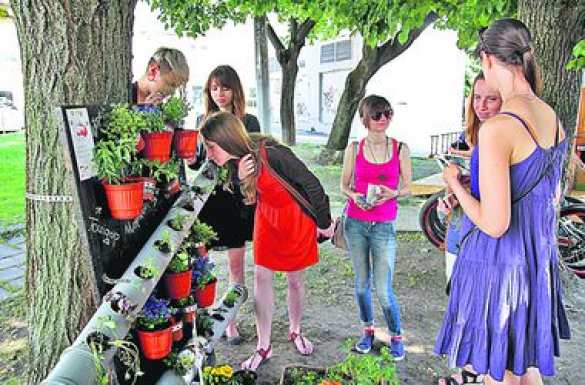Киевляне хотят разбивать огороды в скверах, чтобы выращивать укроп и помидоры | Русская весна