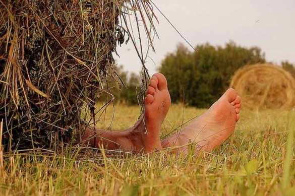 В Харьковской области тракторист переехал туриста из Германии | Русская весна