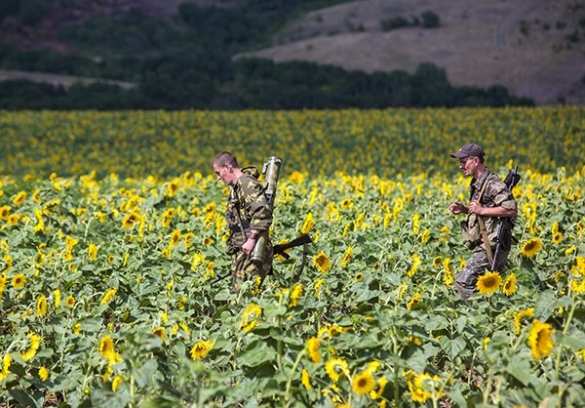 Сводка: главнокомандующий ВСУ направлен на Донбасс, армия Новороссии готовится к нападению врага | Русская весна