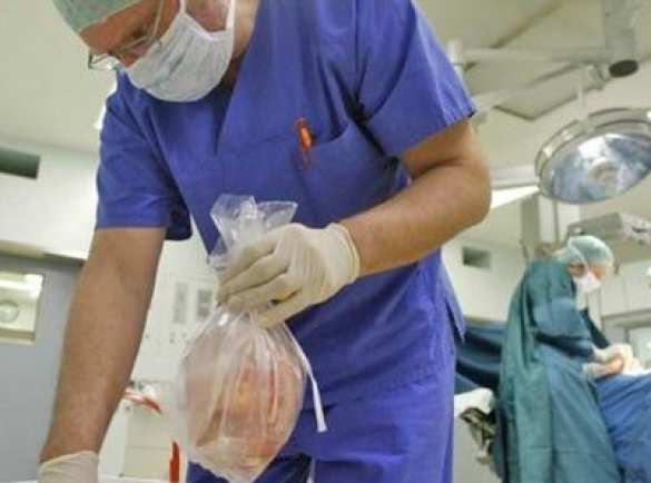 Украинцы выставляют на продажу органы, чтобы рассчитаться по кредитам (видео) | Русская весна