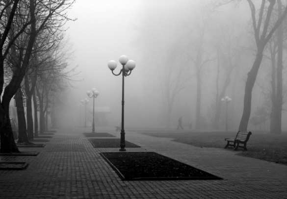 Сегодня в России объявлен день траура по погибшим в авиакатастрофе | Русская весна