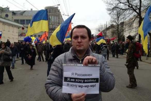 Марш против правды — миазмы лжи в картине мира участников проукраинского шествия в Москве (видео) | Русская весна