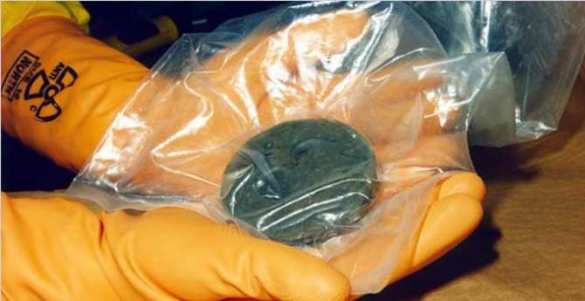 Северная Корея возобновила производство оружейного плутония | Русская весна