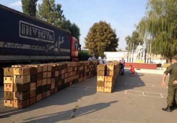 В Павлограде сотрудники СБУ задержали два грузовика с боеприпасами | Русская весна