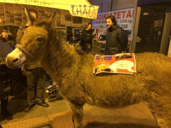 В Греции протестующие привели в парламент осла (ФОТО, ВИДЕО) | Русская весна