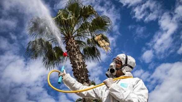 Ждём жары: выяснилось, за какое время солнце убивает COVID-19 | Русская весна