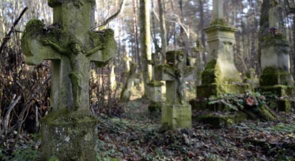 В Польше активисты разрисовали очередной памятник террористам УПА | Русская весна