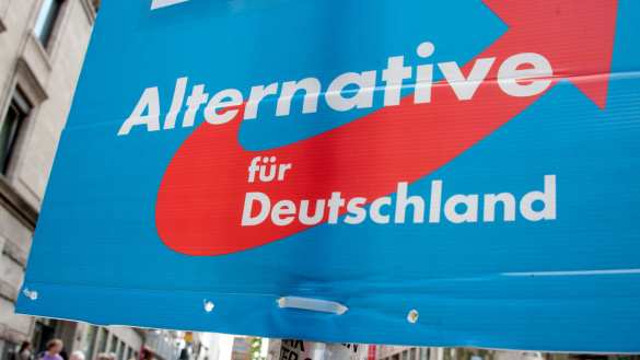Угроза государству: немецкая контрразведка против «Альтернативы для Германии» | Русская весна