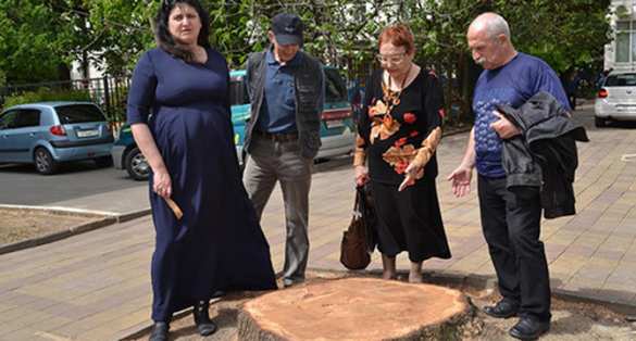 В Сочи спилили кедр, высаженный Гагариным, — СМИ (ФОТО) | Русская весна