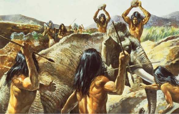 Вегетарианцы — тупиковая ветвь человечества (ФОТО) | Русская весна