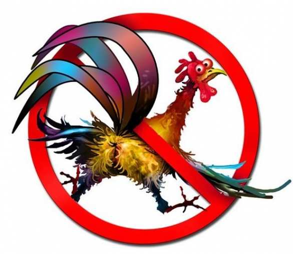 «О боевых петухах либералов», — Виталий Милонов (ВИДЕО) | Русская весна