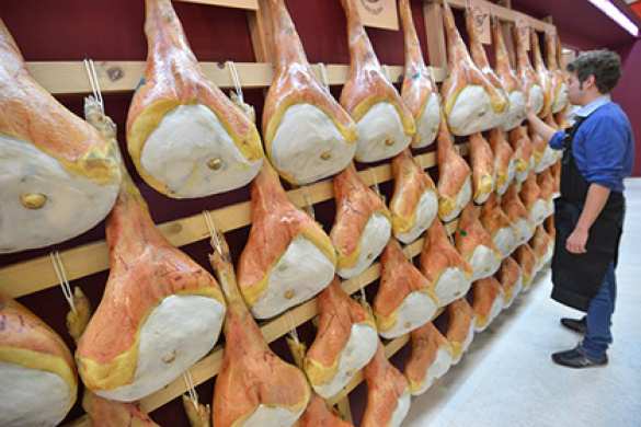 Итальянский бизнес обвинил ЕС в разрушении сотрудничества с Россией | Русская весна