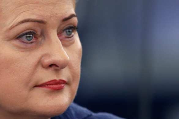 Президент Литвы считает, что Россия наказала себя введением ответных санкций | Русская весна