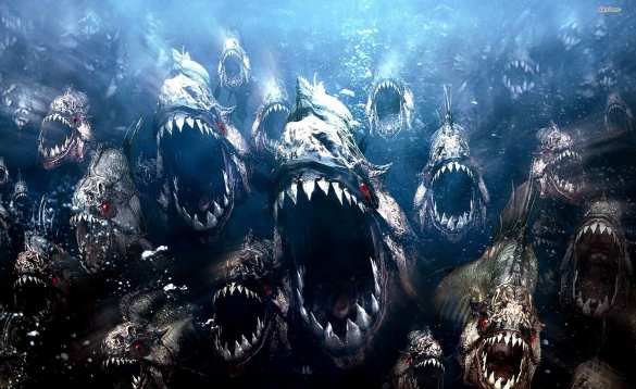 Бразилец пытался спастись от пчёл в озере и был съеден пираньями | Русская весна