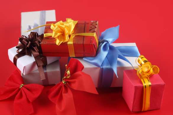 Немецкая таможня будет конфисковывать рождественские подарки из России | Русская весна