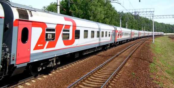 Громкое ЧП с отравлением почти сотни детей в поезде Мурманск — Адлер: СК сообщил о задержаниях | Русская весна