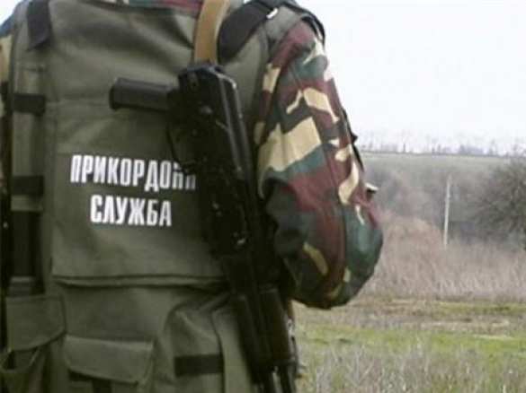 В тылах неспокойно: дозор украинских пограничников попал под обстрел за линией фронта в ЛНР | Русская весна