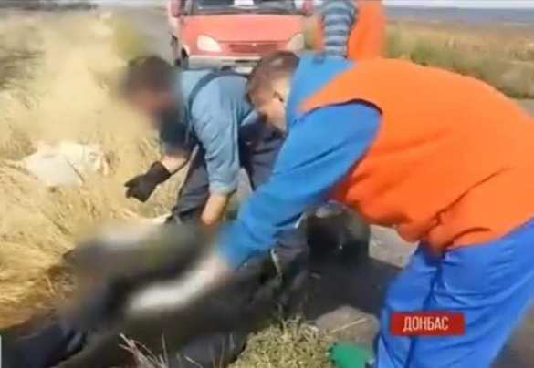 Министерству обороны не нужны мертвые солдаты ВСУ, трупы неделями лежат в полях и на дорогах (видео 18+) | Русская весна