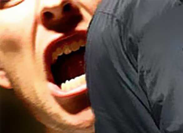 В Артемовске пьяный волонтер «АТО» с Западной Украины покусал полицейского | Русская весна