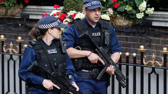 В британском парке обнаружен большой тайник со взрывчаткой | Русская весна