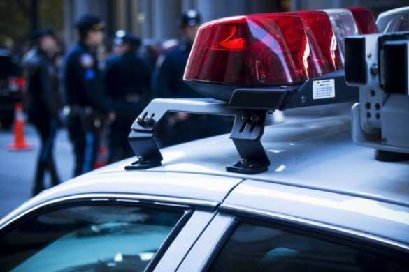 В Кентукки две тысячи подростков устроили бунт в торговом центре | Русская весна