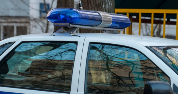 В Подмосковье совершено нападение на фельдъегерей  | Русская весна