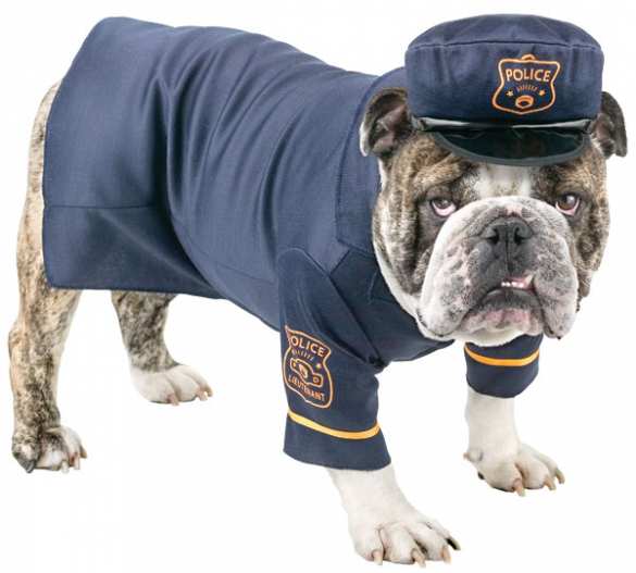 Британский полицейский притворился собакой, чтобы задержать нарушителя | Русская весна