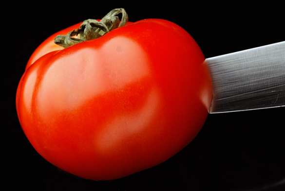 Турция грозит России санкциями за запрет ввоза помидоров | Русская весна