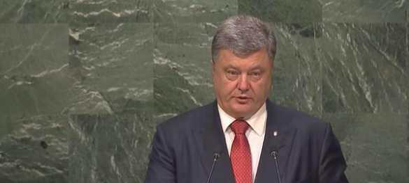 Короткая память Порошенко (ВИДЕО А.Шария) | Русская весна