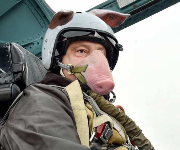 Анатолий Шарий: Порошенко передал в войска истребитель, отремонтированный 3 года назад (ВИДЕО) | Русская весна