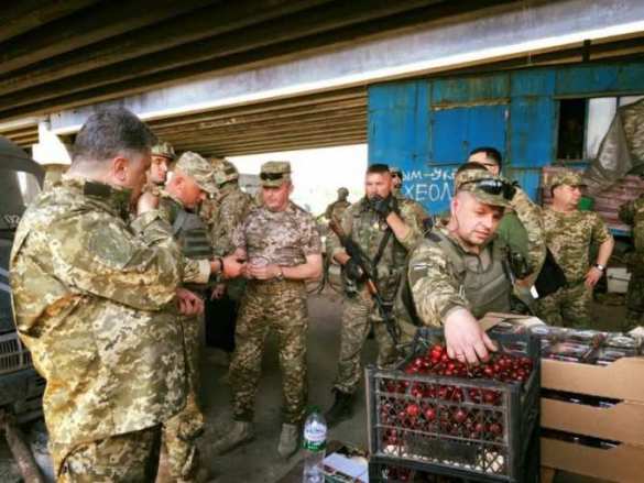 Порошенко и фронт: «А кому черешенки?» (ВИДЕО) | Русская весна