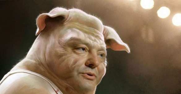 Украина отказалась «подхрюкивать» США в вопросе признания Голан | Русская весна