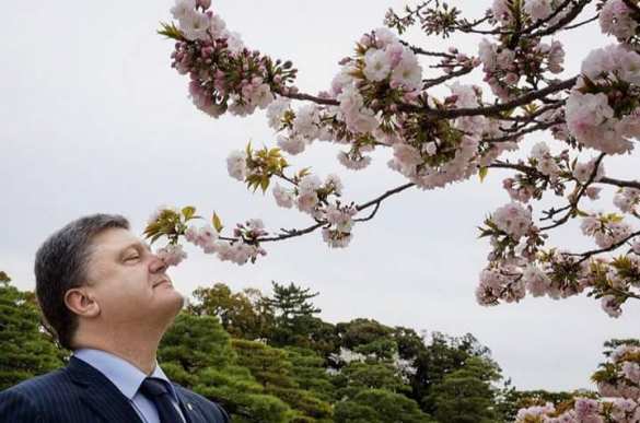 «Офис» Зеленского обходится украинцам дороже, чем администрация Порошенко (ФОТО) | Русская весна