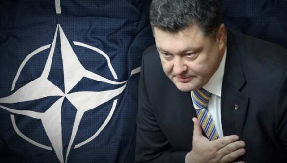 Порошенко пригласил корабли НАТО в Азовское море   | Русская весна