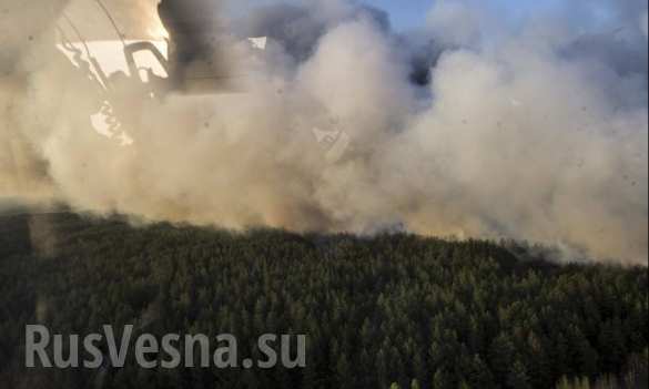CHERNOBYL FIRE COVERAGE: residents being evacuated due to fire around nuclear plant — Internal Ministry (+FIRE PHOTOS) | Русская весна