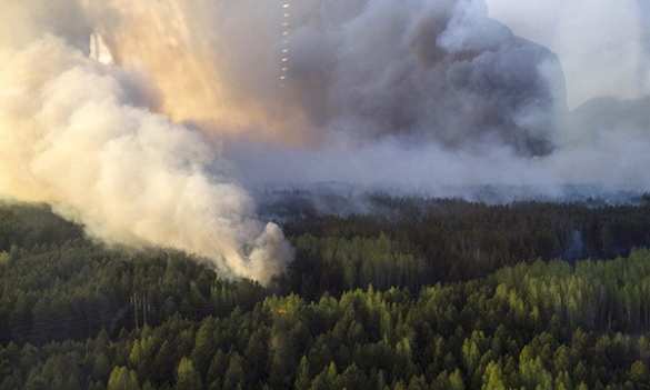 ГСЧС Украины: Торфяные пожары охватили площадь в 112 гектаров | Русская весна