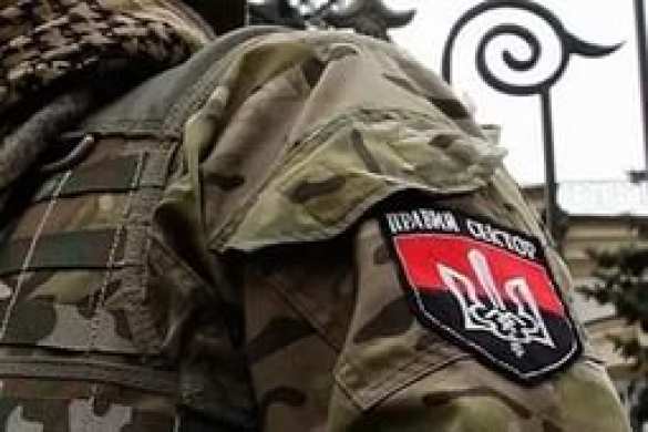 В Харькове «Правый сектор» решил заменить собой милицию | Русская весна