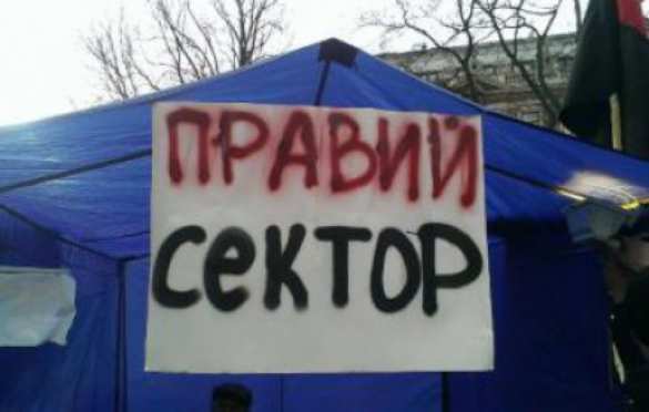 «Правый сектор» в Киеве провел свои собственные «учения» | Русская весна