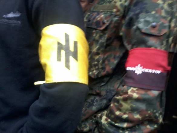 «Костяк» силовых структур Украины состоит из тех, кто связан с «Правым сектором» | Русская весна