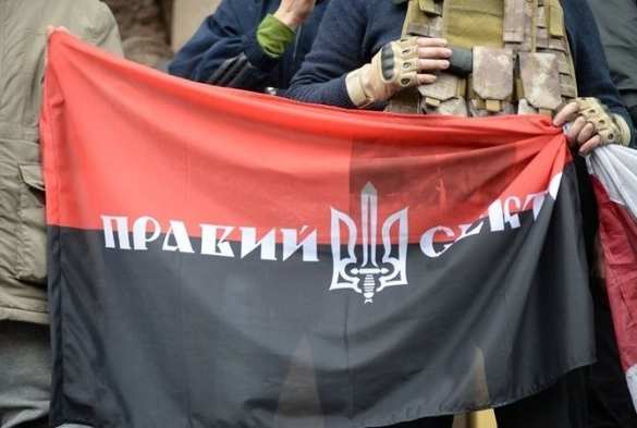 Базу «Правого сектора» под Мариуполем закидали гранатами | Русская весна