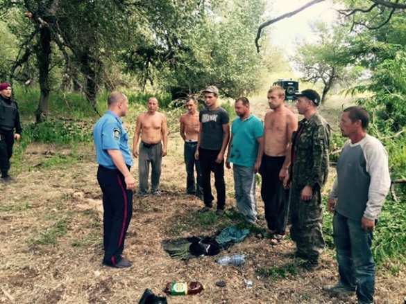 Боевиков «Правого Сектора» задержали за незаконную вырубку леса на Херсонщине (ФОТО) | Русская весна